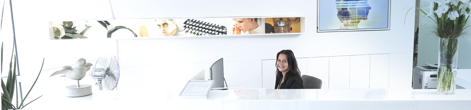 ansprechpartner_linse