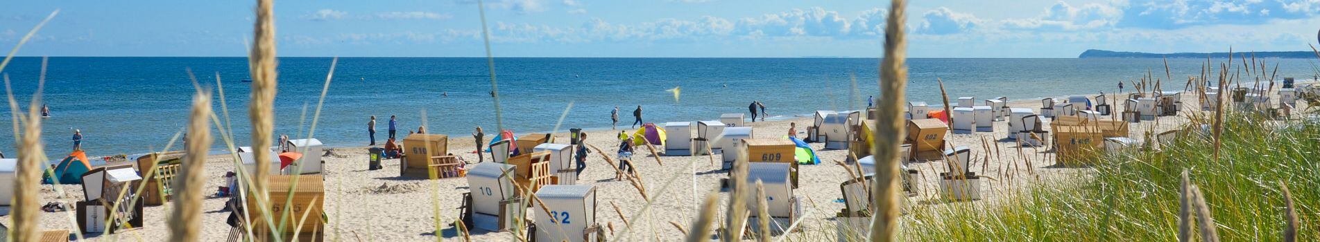 Usedom_Linse