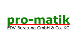 pro-matik GmbH & Co. KG